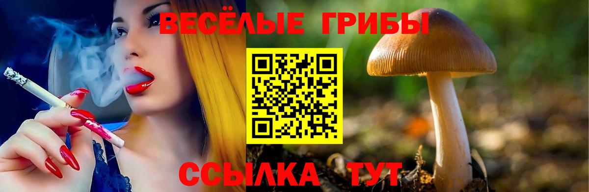 Галлюциногенные грибы мухоморы  Вход с VPN  Ишим 